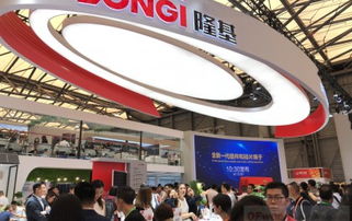 高朋滿(mǎn)座 為 取經(jīng) 新能源應(yīng)用技術(shù)受到發(fā)展中國(guó)家歡迎